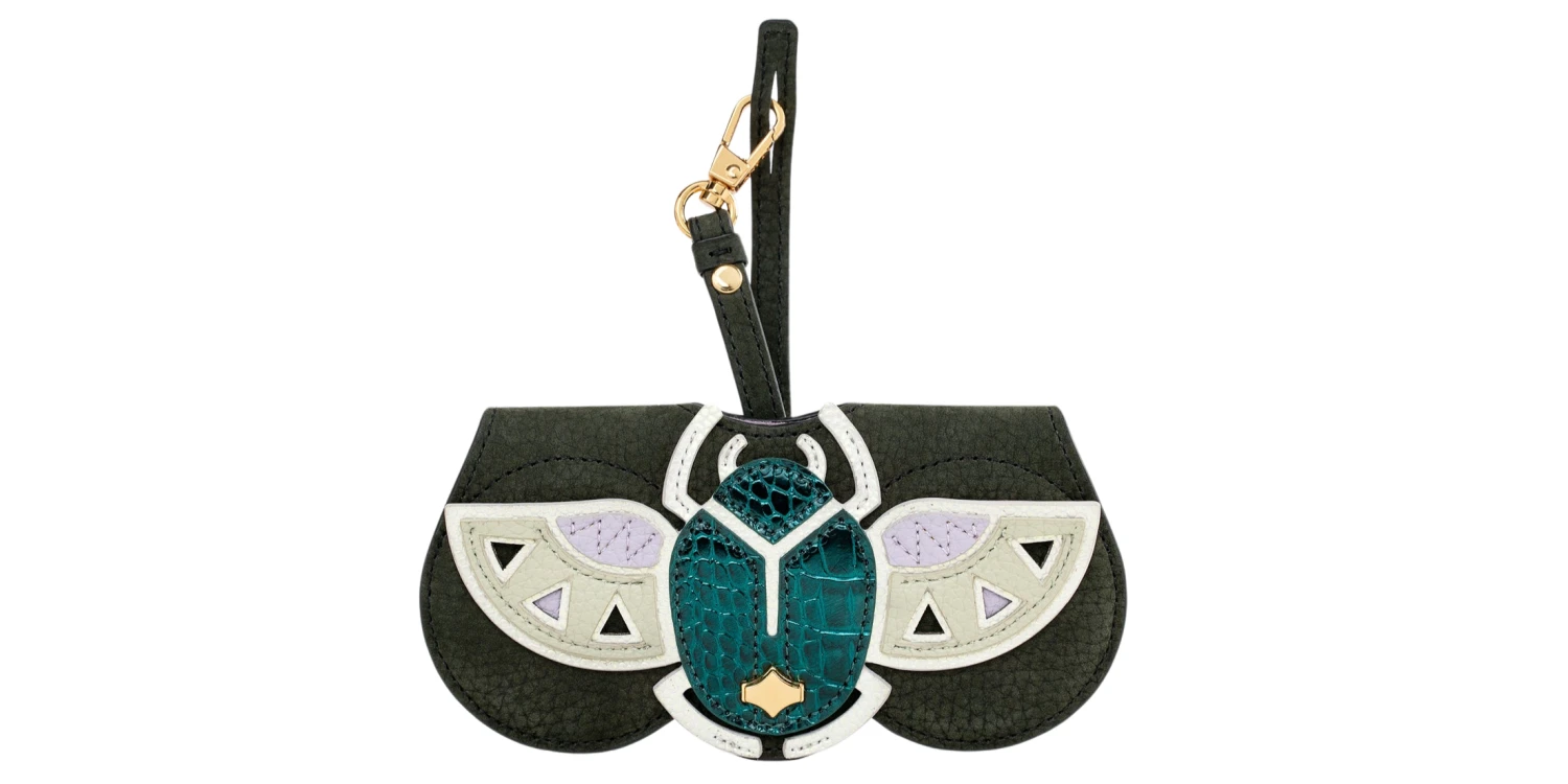 ANY DI Scarabaeus SP101602SBS Soft Case 1 ANY DI Scarabaeus SP101602SBS Soft Case