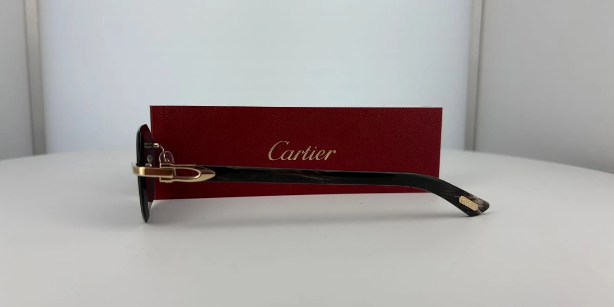 Cartier Buffalo Horn CT0439S 001 4CJ 5 Cartier Buffalo Horn CT0439S 001 4CJ - Image 5