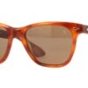American Optical Saratoga C4 ST BNN-P Havana Polarised