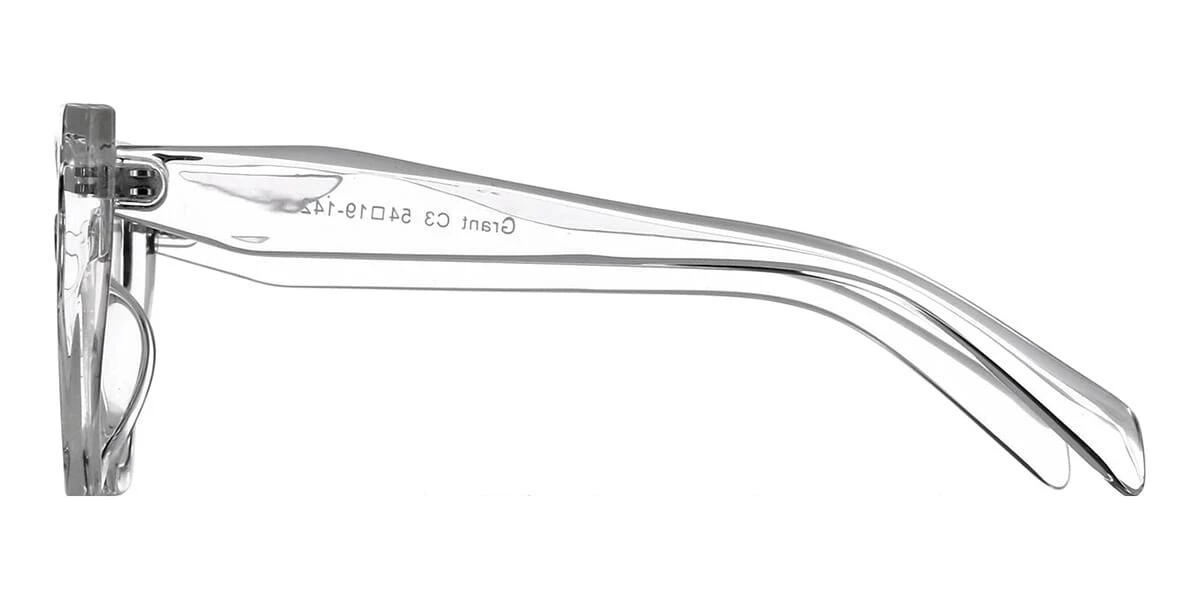 BlueScreen Grant C3 With Blue Control 4 BlueScreen Grant C3 With Blue Control - Image 4