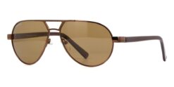 Carnegie MP694 D Polarised