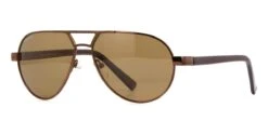 Carnegie MP694 D Polarised