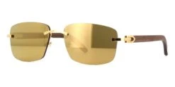Cartier CT0013RS 001