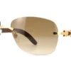 Cartier CT0014RS 001