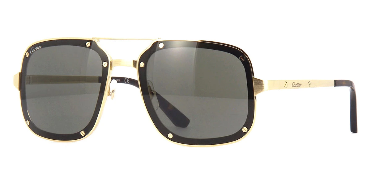 Cartier CT0194S 002 1 Cartier CT0194S 002