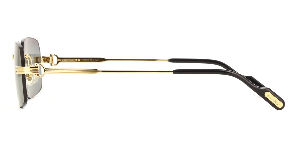 Cartier CT0271S 006 3 Cartier CT0271S 006 - Image 3