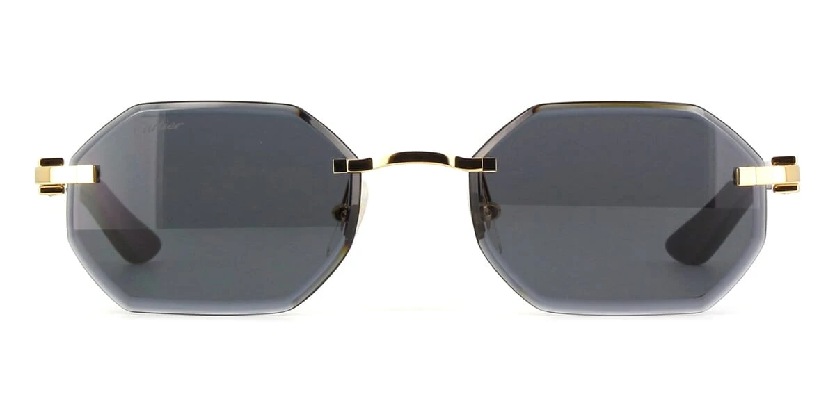 Cartier Buffalo Horn CT0439S 001 4CJ 2 Cartier Buffalo Horn CT0439S 001 4CJ - Image 2