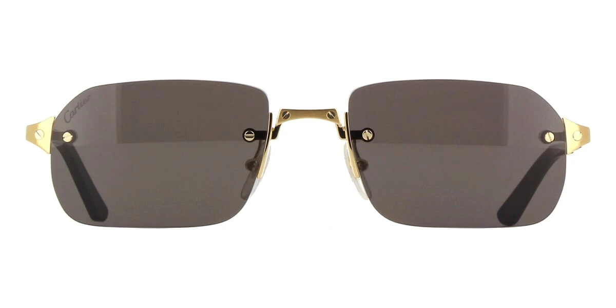 Cartier CT0460S 001 2 Cartier CT0460S 001 - Image 2