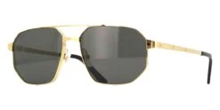 Cartier CT0462S 001 Polarised
