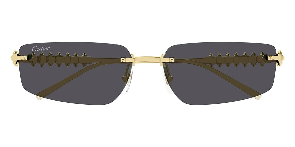 Cartier CT0544S 002 2 Cartier CT0544S 002 - Image 2