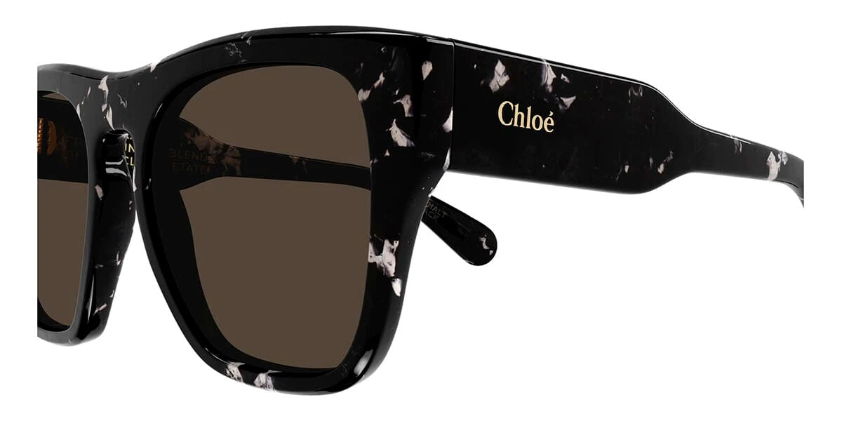 Chloé Chloe CH0149S 003 - As Seen On Angelina Jolie 3 Chloé Chloe CH0149S 003 - As Seen On Angelina Jolie - Image 3