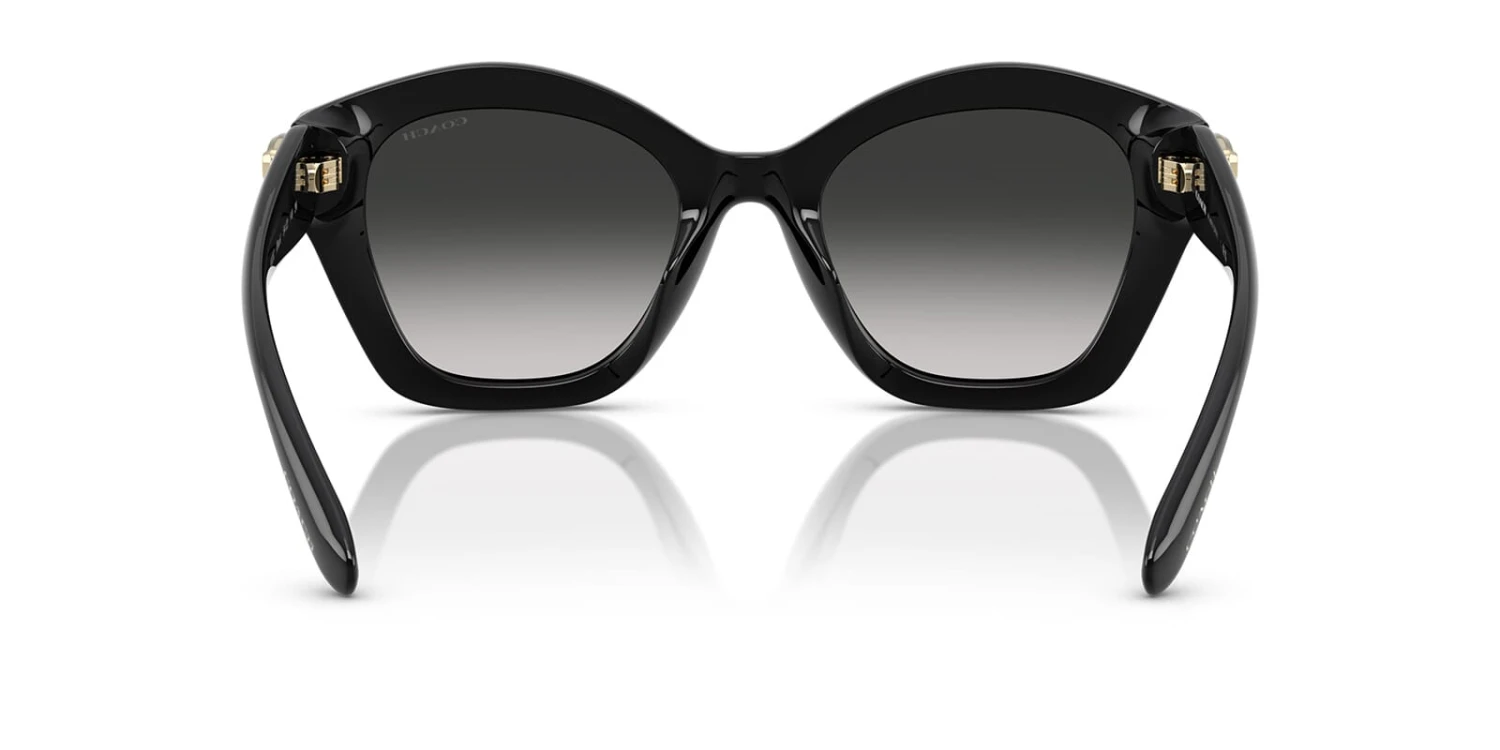 Coach Cad31 HC8421U 5002/3C 5 Coach Cad31 HC8421U 5002/3C - Image 5