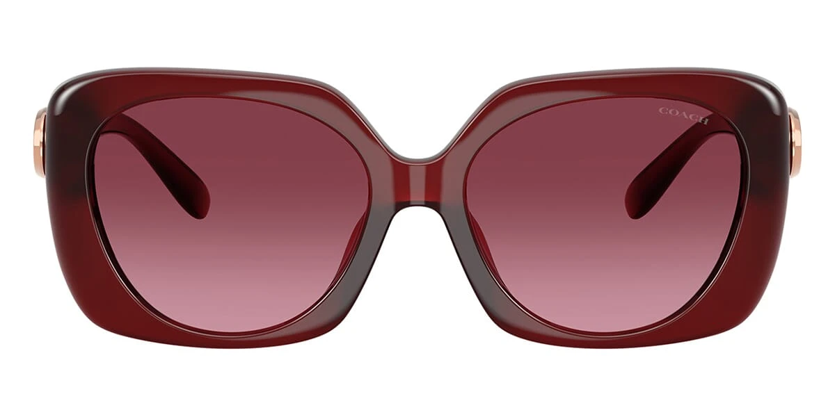 Coach Cad33 HC8422U 5870/8H 2 Coach Cad33 HC8422U 5870/8H - Image 2