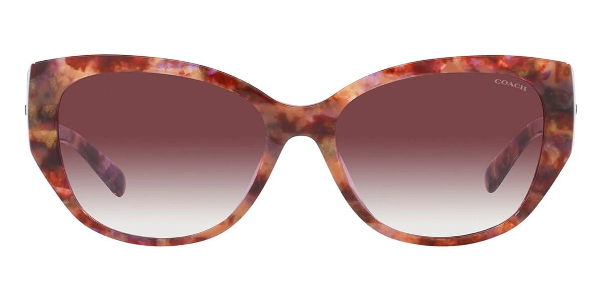 Coach CH563 HC8362U 5739/8H 2 Coach CH563 HC8362U 5739/8H - Image 2