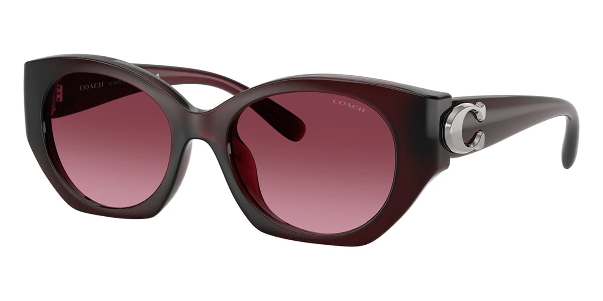 Coach CW194 HC8407U 5393/8H 1 Coach CW194 HC8407U 5393/8H