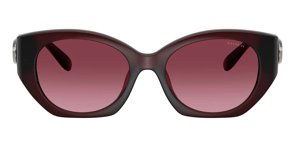 Coach CW194 HC8407U 5393/8H 2 Coach CW194 HC8407U 5393/8H - Image 2