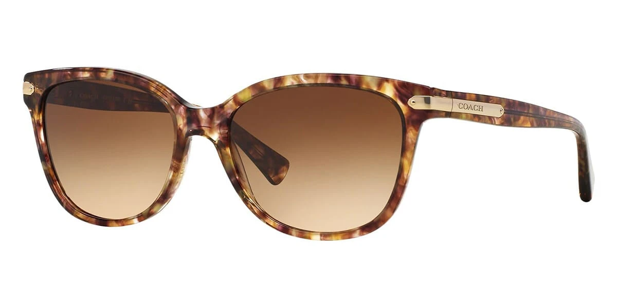 Coach L109 HC8132 5287/13 1 Coach L109 HC8132 5287/13