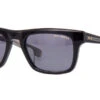 Dita Lancier LSA-700 DLS 700 01 Polarised
