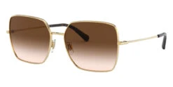 Dolce & Gabbana Dolce&Gabbana DG2242 02/13