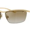 Dolce & Gabbana Dolce&Gabbana DG2307 02/6E