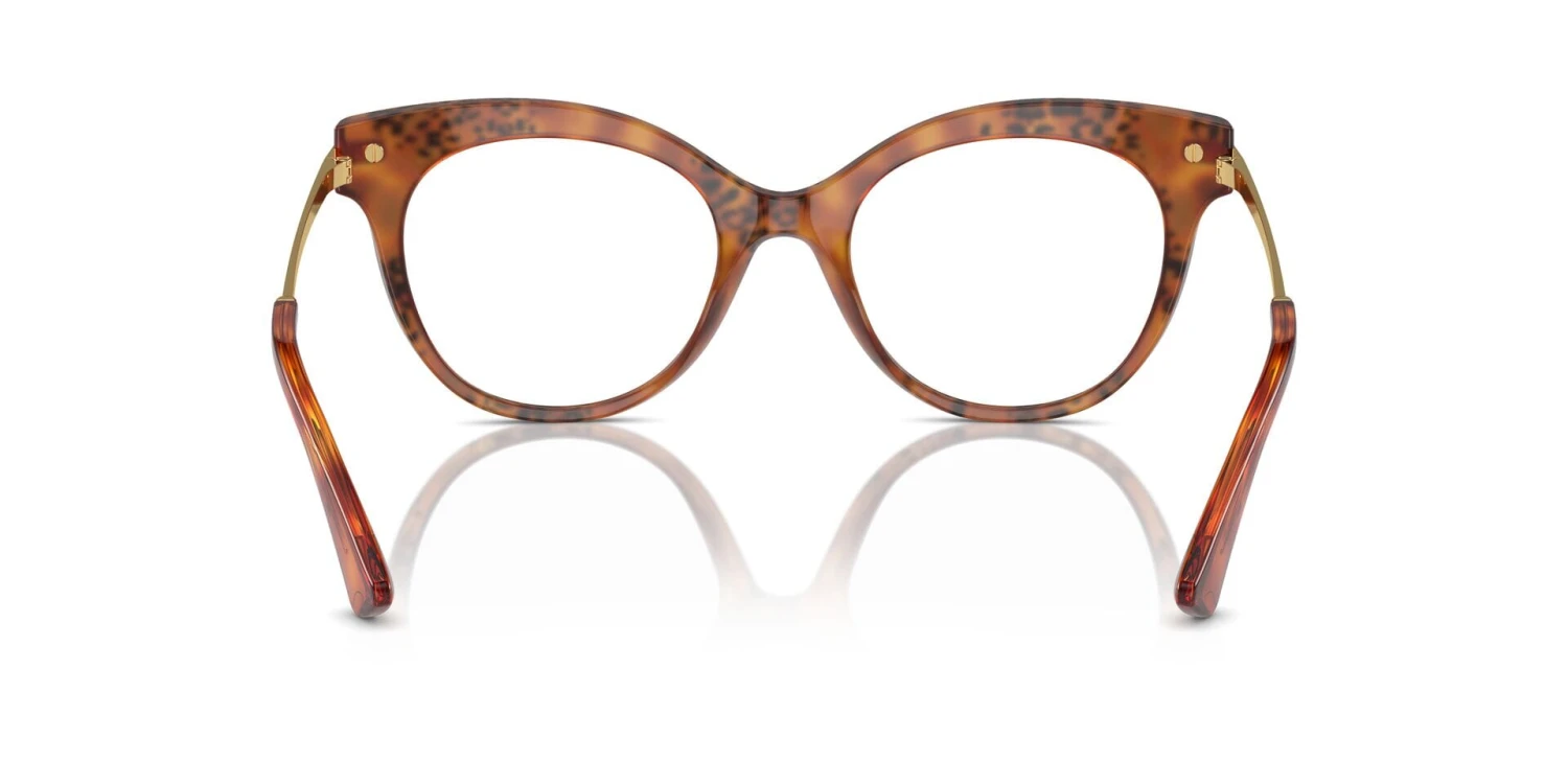 Dolce & Gabbana Dolce&Gabbana DG3392 3380 5 Dolce & Gabbana Dolce&Gabbana DG3392 3380 - Image 5