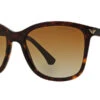Emporio Armani EA4060 5026/T5 Polarised