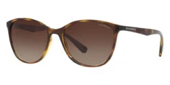 Emporio Armani EA4073 5026/13