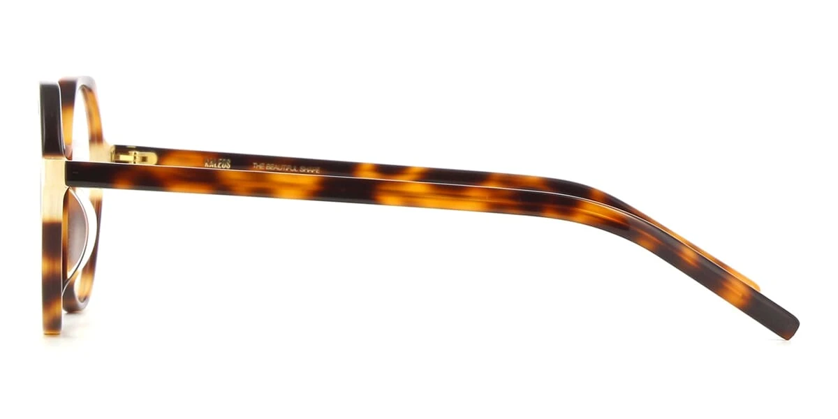 Kaleos Feinstein 2 3 Kaleos Feinstein 2 - Image 3