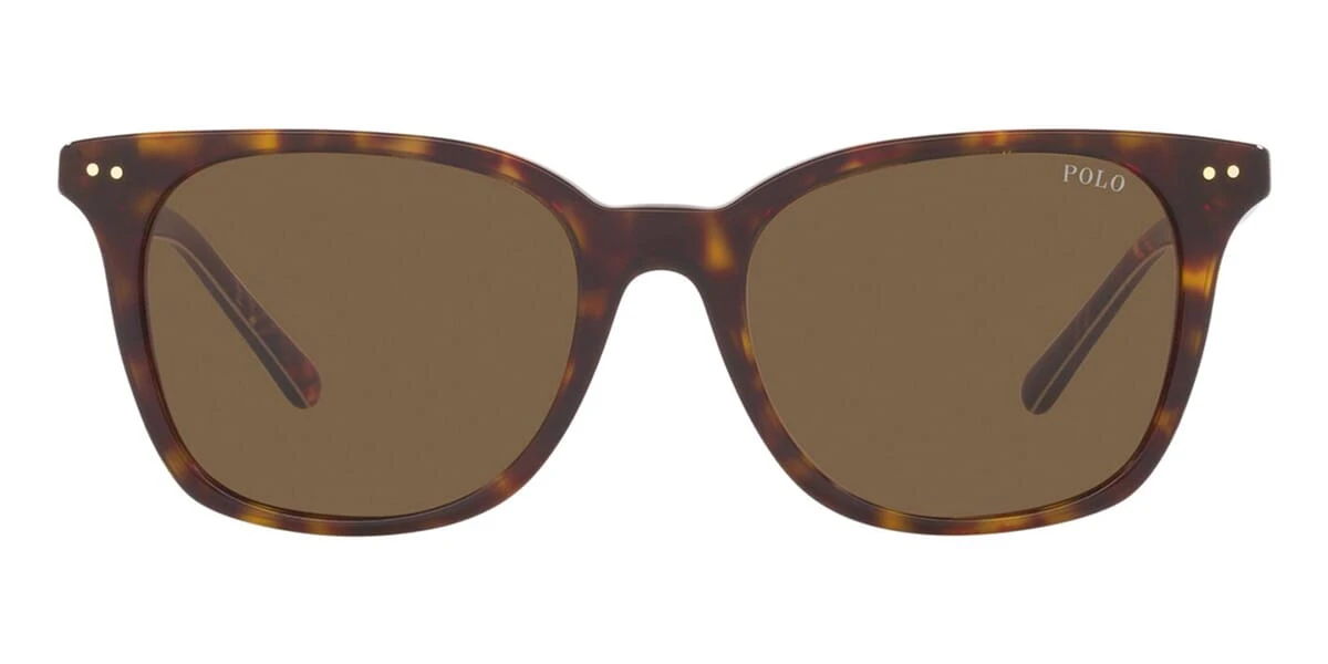 Polo Ralph Lauren PH4187 5003/73 2 Polo Ralph Lauren PH4187 5003/73 - Image 2