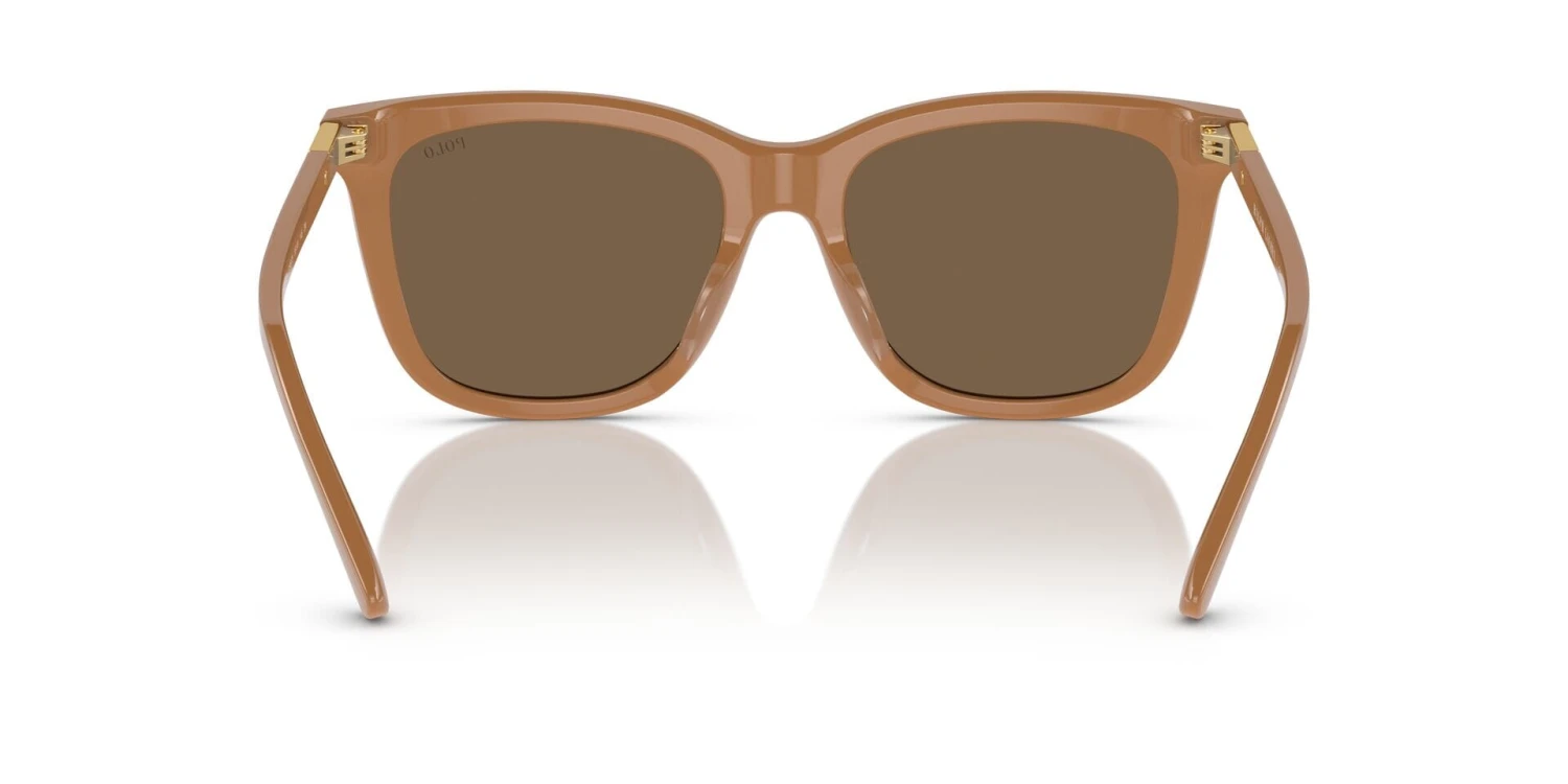 Polo Ralph Lauren PH4201U 6196/73 5 Polo Ralph Lauren PH4201U 6196/73 - Image 5