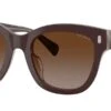 Ralph By Ralph Lauren RA5301U 6055/T5 Polarised