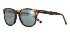 Revo Tatum RE 1254 02 SG50 Polarised