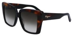 Salvatore Ferragamo Ferragamo SF1060S 006