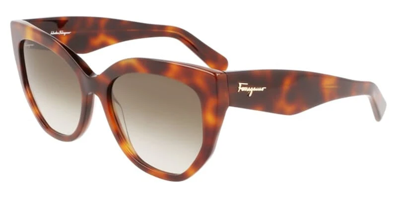 Salvatore Ferragamo Ferragamo SF1061S 240 1 Salvatore Ferragamo Ferragamo SF1061S 240