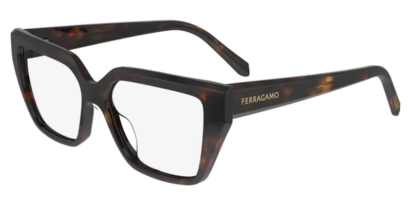 Salvatore Ferragamo Ferragamo SF2971 242 1 Salvatore Ferragamo Ferragamo SF2971 242