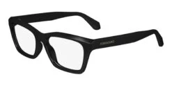 Salvatore Ferragamo Ferragamo SF2986 001