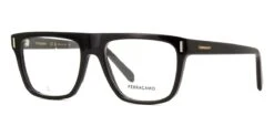 Salvatore Ferragamo Ferragamo SF2997 001
