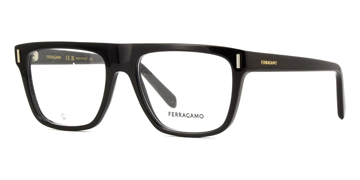 Salvatore Ferragamo Ferragamo SF2997 001 1 Salvatore Ferragamo Ferragamo SF2997 001