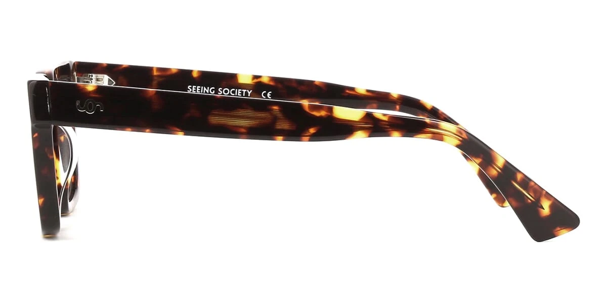 Seeing Society Barra C2 3 Seeing Society Barra C2 - Image 3