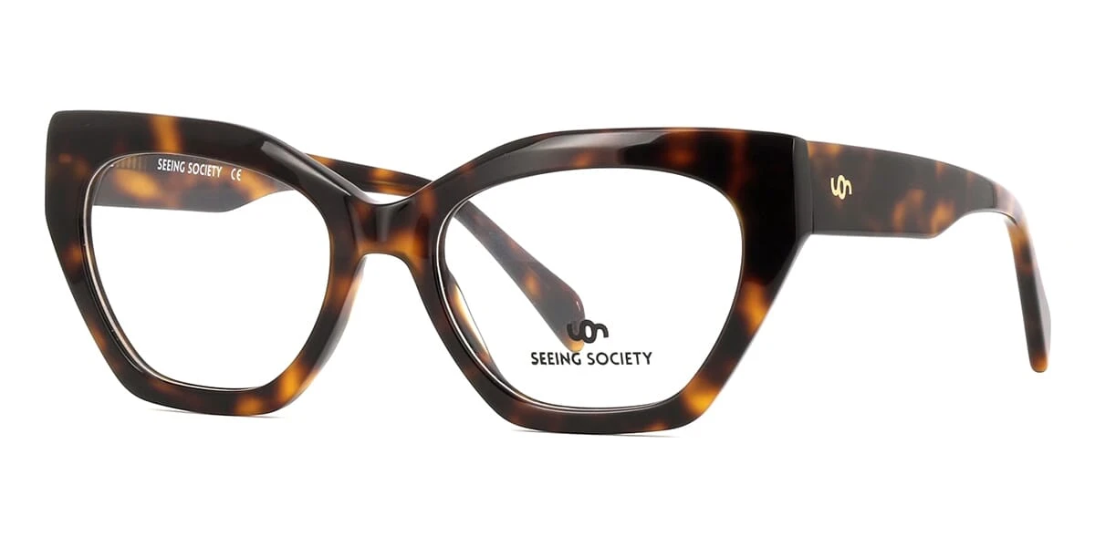 Seeing Society Sanday C2 1 Seeing Society Sanday C2