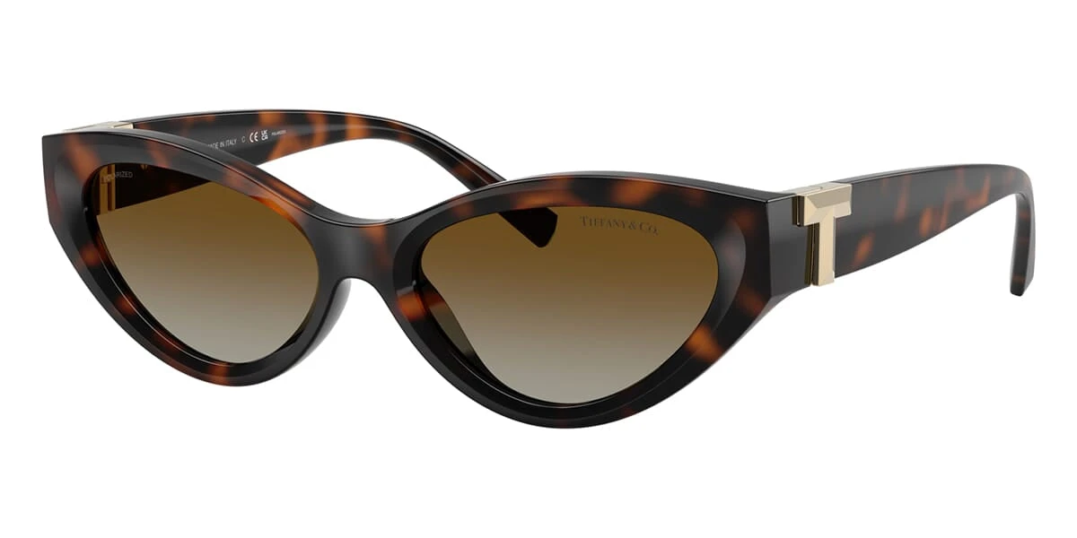 Tiffany & Co TF4225U 8015/T5 Polarised - As Seen On Abby Champion 1 Tiffany & Co TF4225U 8015/T5 Polarised - As Seen On Abby Champion