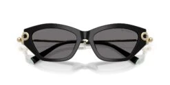 Tiffany & Co TF4231U 8001/81 Polarised -Retavoir Store tiffany and co tf4231u 800181 polarised hd 4