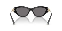 Tiffany & Co TF4231U 8001/81 Polarised -Retavoir Store tiffany and co tf4231u 800181 polarised hd 5